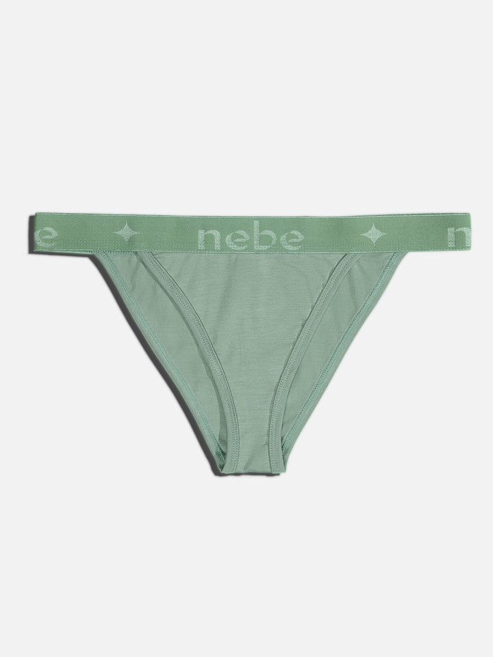 Aura Brazilian Panties